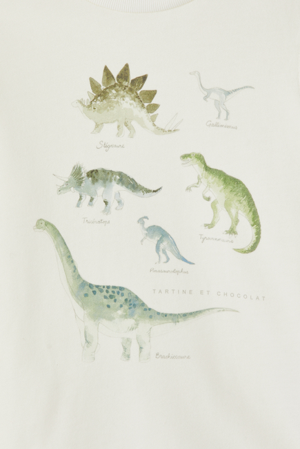 Dino Print Long Sleeve Cotton T-Shirt